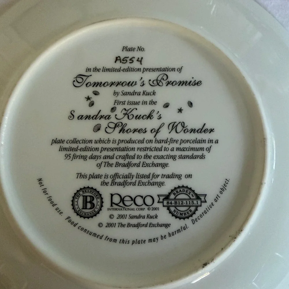 Sandra Kuck Tomorrows Promise Collector Plate Shores of Wonder Reco 2001 Vintage